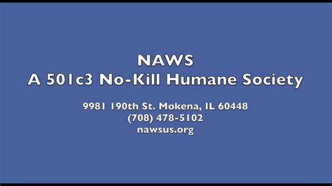 Naws mokena - NAWS Humane Society. 10080 191st St Mokena, IL 60448-8656. 1; Business Profile for NAWS Humane Society. Animal Hospital. At-a-glance. Contact Information. 10080 191st St. Mokena, IL 60448-8656.